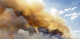 Crítica situación ambiental por los incendios en Santa Fe