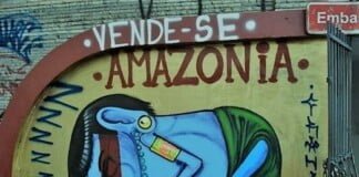 «Brasil, decime qué se siente…» Apuntes sobre política y gobierno. Por Beatriz Sznaider*