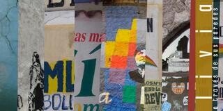 ¿Quién le enseña a García Linera? Por Ramiro Parodi*