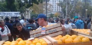Frutazo “Desde el ministerio de Producción y Agroindustria nos amenazaron con sacarnos todos los beneficios si hacíamos el reclamo”