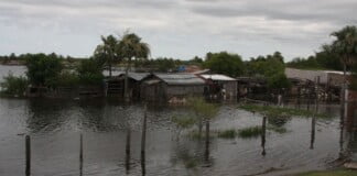 Ariel Gómez: «Las tormentas en Chaco las sufrimos mucho, llueve más de lo debido».