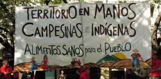 Dana Pilar Moyano: «El gobierno provincial se ha dedicado a vender tierra y a desalojar»