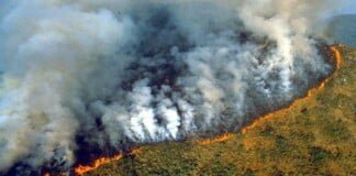 Arde el Amazonas. «No se recuerda un incendio tan devastador»