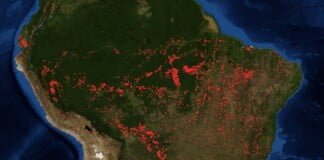 La amazonia, entre la flexibilización ambiental y laboral