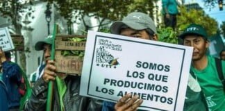 #Alimentazo en Plaza de Mayo: «Tenemos que discutir la función social del acceso a la tierra»