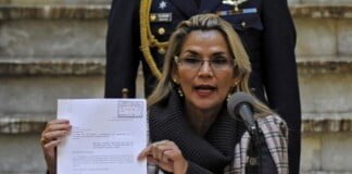 Faurie porfía con la defensa de Jeanine Añez