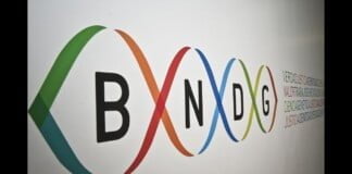 Historia del Banco Nacional de Datos Genéticos