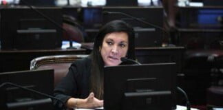 Senadora del PRO: «Votaremos a favor del proyecto» de sostenibilidad de deuda