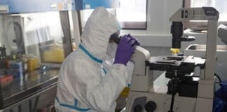 Coronavirus en Argentina: «Afectará a un alto porcentaje de la población»