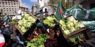 El móvil de Fabián Waldman: El verdurazo de Unión de Trabajadores de la Tierra