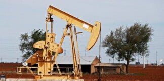 Desplome del precio del petróleo: «El Estado debe promover reglas para el bienestar general»