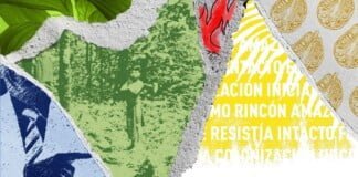 Brasil: la flecha, el virus y el fuego