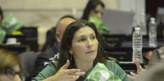 Proyecto de legalización del aborto: «Hay que empezar desde temprano a articular con el Senado»
