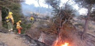 Incendios en El Bolsón: Ya arrasaron 6.500 hectáreas de bosque