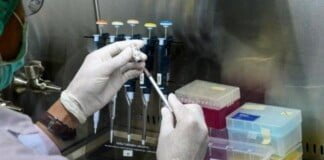 Salvarezza: «El objetivo es que en 2022 haya una vacuna propia contra el coronavirus»