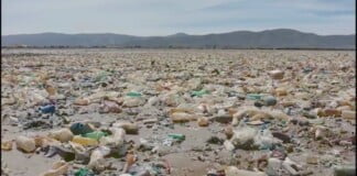 La tierra, el antropoceno y el calentamiento global
