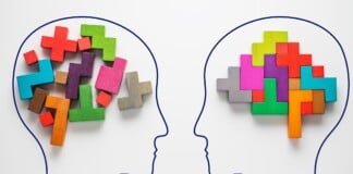 El cerebro no tiene características propias de un género