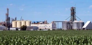 El Gobierno prorrogó la vigencia de la ley de biocombustibles