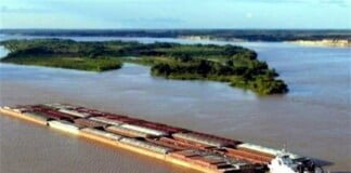 Organizaciones políticas y sociales realizarán una «gran caravana federal» en «defensa del Río Paraná y el Canal Magdalena»