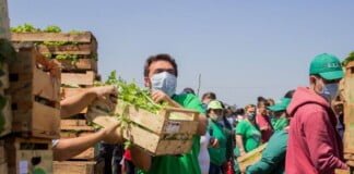 Pequeños productores reclaman una ley de acceso a la tierra