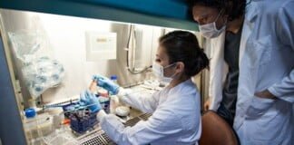 Los estudios de fase 3 para la vacuna contra el VIH: se vienen los análisis de eficacia y seguridad