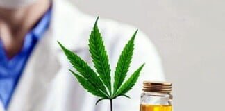 Según encuesta, el 75 por ciento de las personas usuarias de cannabis medicinal redujeron el consumo de fármacos