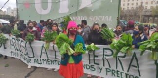 Productores realizan un verdurazo y acampe en el Congreso