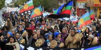 Magdalena Odarda: «Hay grandes intereses privados que están operando» en el conflicto con los mapuches