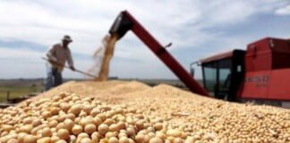 El Gobierno otorgará créditos a 15 años para desarrollar la producción en beneficio de las economías regionales