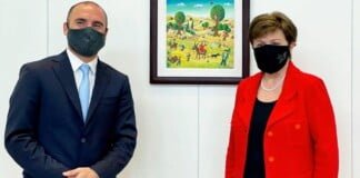 Martín Guzmán se reunirá hoy con la directora gerenta del FMI