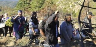 Detuvieron a un hombre por el homicidio del joven mapuche Elías Garay