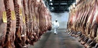 El precio de la carne vacuna bajó 0,4 por ciento en octubre