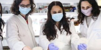 Afirman que para el 2022 Argentina podría tener una o más vacunas de producción nacional contra el coronavirus