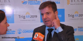 Diego Cifarelli: «Ni la harina, ni el pan van a tener incrementos de precios en la provincia de Buenos Aires»