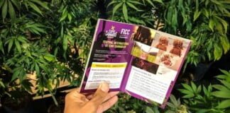 Llega a Buenos Aires una nueva edición del Festival Internacional Cine Cannábico