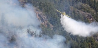 El Gobierno nacional declaró la emergencia ígnea en todo el territorio argentino por un año