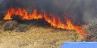 Corrientes: el mapa de los incendios