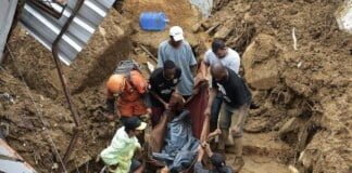 Dario Pignotti: Las pérdidas humanas y edilicias en Petrópolis «deben ser atribuidas a la pobreza que dejó Bolsonaro»