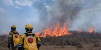 La Casa de Corrientes en CABA recibe donaciones por los incendios
