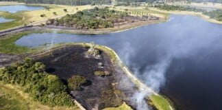 Corrientes: los incendios forestales queman 20 mil hectáreas por día