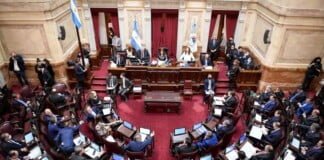 Divide y vencerás: la jugada del Frente de Todos en el Senado