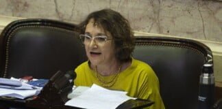 Mara Brawer: «Si sale la ley, va a nacer la industria del cáñamo como soñó Belgrano allá por el 1800»
