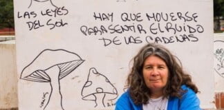 Mónica Santino: «Las áreas de género no pueden quedar supeditadas a una cuestión testimonial»