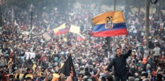 Oriane Fléchaire: “América Latina es un territorio en disputa”