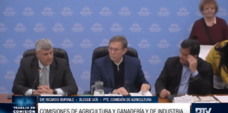 Bahillo en Diputados: «La ley Agroindustrial ayudará al desarrollo de las economías regionales»