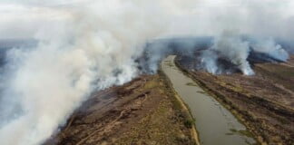 Continúan activos los incendios forestales en el Delta del Paraná