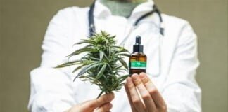 El Senasa constituyó la Mesa Estratégica de Cannabis y Cáñamo Industrial para coordinar y articular tareas