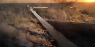 Incendios del Delta: tres grandes focos persisten en Santa Fe, Entre Ríos y Buenos Aires