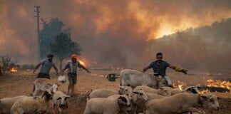 El Niño podría generar temperaturas récord en el mundo