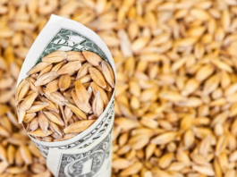 Dólar agro
